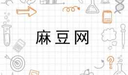 美女麻豆网,揭秘时尚界的新星摇篮